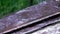 Vintage windowsill during rainy day, close shot. Raindrops beating against the rusty window ledge. Selective soft focus