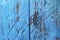 Vintage wood background with peeling paint. Decrepit blue old wood background