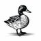 Vintage Woodcut Style Duck Illustration On White Background