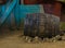 Vintage wooden barrel in the sand, Decor in wild west style