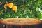 vintage wooden board table in front of dreamy pomegranate tree landscape