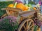 Vintage wooden cart loaded with different pumpkins