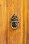 Vintage wooden door with ornate door knocker