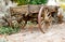 Vintage wooden freight hauling wagon