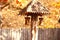 Vintage wooden lantern in the autumn park. Street artificial lighting. Background of autumn trees. Copy space