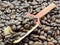 Vintage wooden scoop with coffee beans