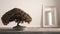 Vintage wooden table shelf with potted bloom bonsai, beige leaves, flowers, over empty room with mirror, modern interior design,