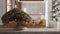 Vintage wooden table shelf with potted bloom bonsai, beige leaves, flowers, over farmhouse kitchen with dining table, sustainable