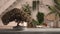 Vintage wooden table shelf with potted bloom bonsai, beige leaves, flowers, over modern conservatory, winter garden, lounge