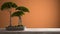 Vintage wooden table shelf with potted green bonsai, ceramic vase, orange colored background, mock-up with copy space, zen concept