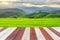 Vintage wooden texture with blurred rice field background