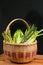 Vintage woven reed basket of organic green vegetables