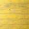 Vintage Yellow Faded Natural Rustic Wooden Background.