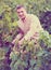 Vintner checking wine grape and leaves in summer day