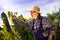 Vintner examining grapes