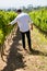 Vintner examining grapes in vineyard