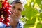 Vintner examining grapes in vineyard