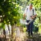 Vintner in his vineyard spraying chemicals