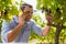 Vintner talking on mobile phone while examining grapes
