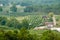 Vinyard in a distance of virginia mountains