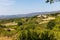 Vinyard in front of famous Mt. Ventoux, Provence, Southern France