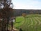 Vinyard in North Georgia Mountains