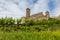 Vinyards and castle at the river Neckar