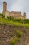 Vinyards and castle at the river Neckar