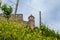 Vinyards and castle at the river Neckar