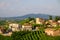 Vinyards and winery, Valdobbiadene