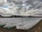 vinyl-covered vegetable fields