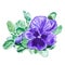 Viola flower. Handmade watercolor painting