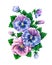 Viola tricolor. Watercolor colorful pansies flowers drawing