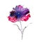 Viola. Watercolor floral background. Decorative floral element.