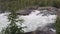 Violent rapid river waterfall during flood in late summer with dense forest