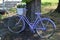 Violet bike propped on tree in Tihany, Balaton