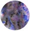violet blue circle on white background, circle painted with watercolors, abstract art