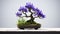 Violet Bonsai: Zeiss Milvus 25mm F14 Ze Inspired Floral Arrangement