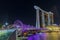 Violet bridge reflecting in the Singapore at night - 1