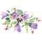 Violet campanula bouquet botanical flowers. Watercolor background set. Isolated bouquets illustration element.