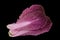 Violet chinese cabbage on black