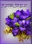 Violet Color Flowers, Decorative Gift Card