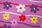 Violet-colored flower carpet . Purple flower carpet . Purple flower background . Kindergarten and child carpet