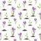 Violet crocus flowers, green spring sprouts. Seamless pattern. Watercolor