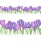 Violet crocus flowers horizontal border repeat pattern, hand drawn simple springtime image