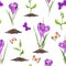 Violet crocus flowers, spring sprouts, butterflies. Seamless pattern. Watercolor