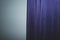 Violet curtain. drapery on the wall