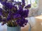 Violet dried flowers in blue tin watering can on wooden table