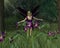 Violet Fairy in Spring Woodland