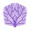 Violet Fan Coral, Tropical Reef Marine Invertebrate Animal Isolated Vector Icon